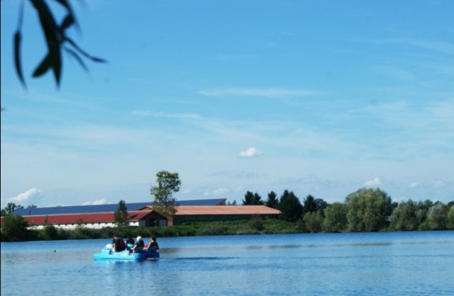  Bole a pedales familiar